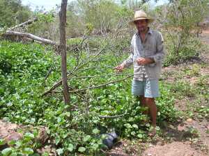Cacimba fica coberta pela vegetação