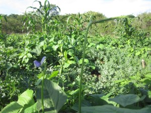 ???????????????????????????????